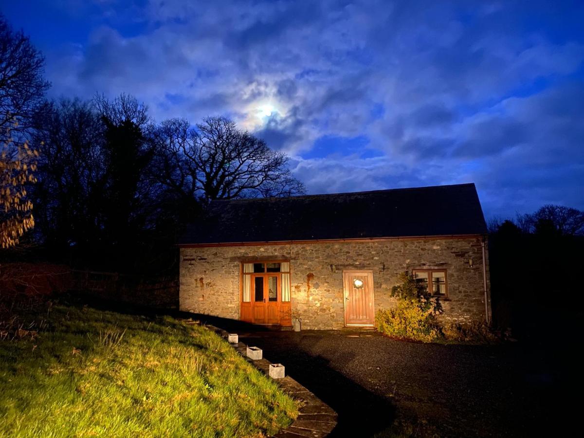 Villa Cae'r Beili Llandovery Exterior foto
